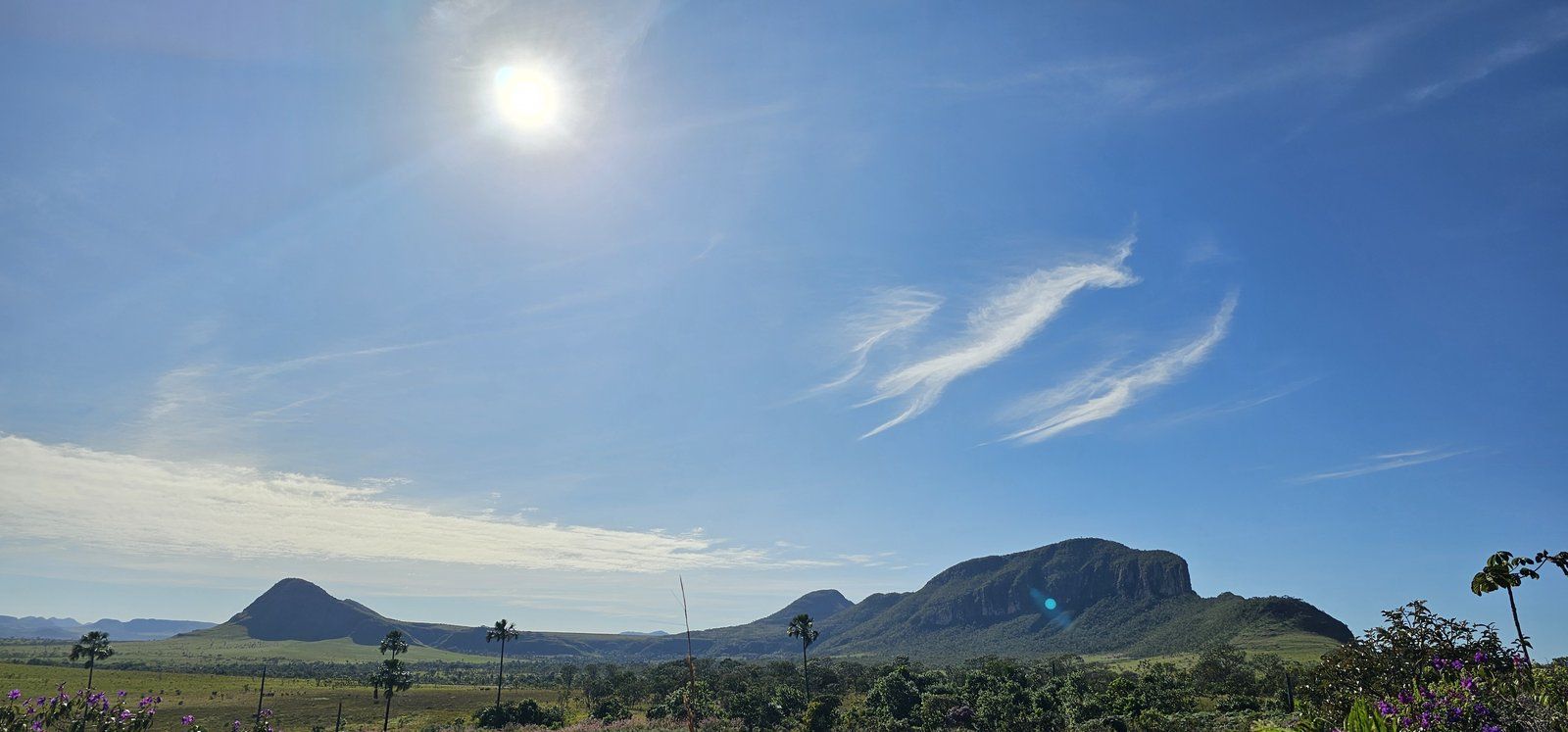Cerrado florido e morros sob o sol da manhã na Chapada dos Veadeiros
