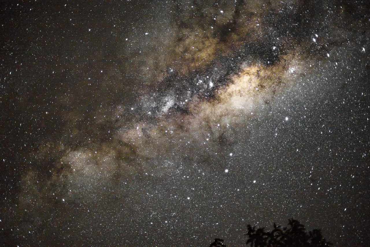 Centro galáctico da Via Láctea em tom dourado sobre a linha das árvores